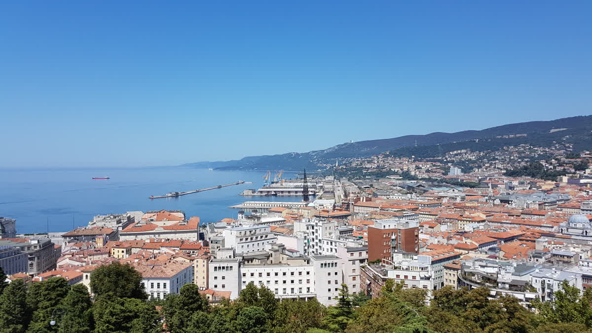 Trieste harbor and city center seen from the castle hill